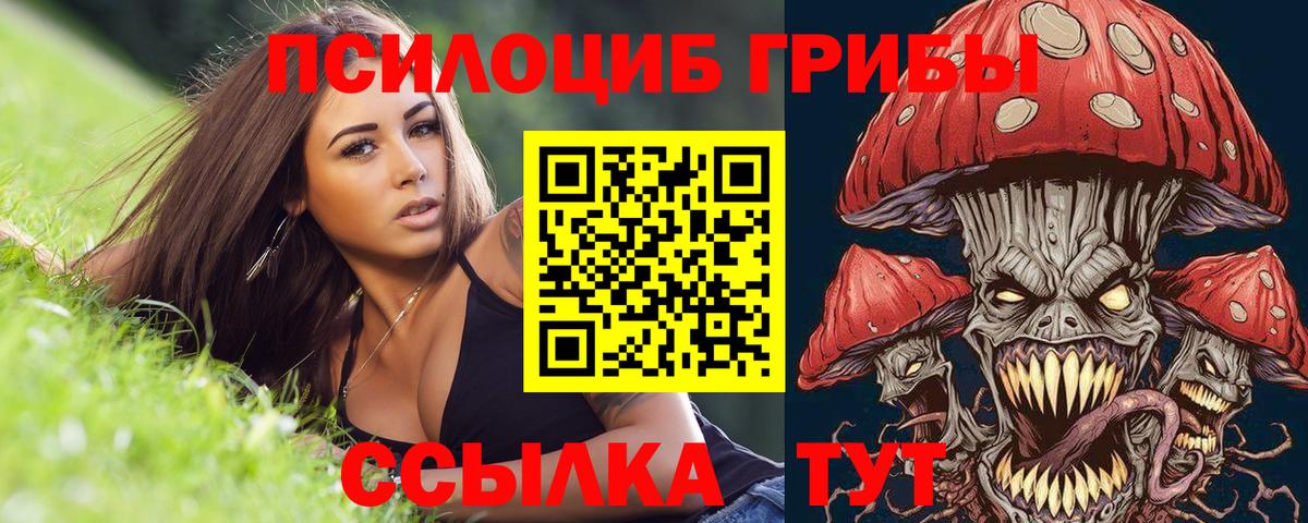 Псилоцибиновые грибы Cubensis  Псилоцибиновые грибы прущие грибы  Фролово  Вход с VPN 